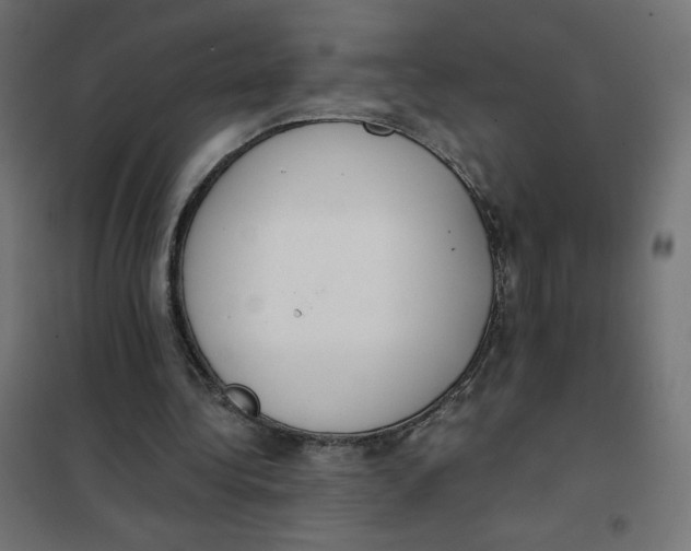X0000101390340200807280943