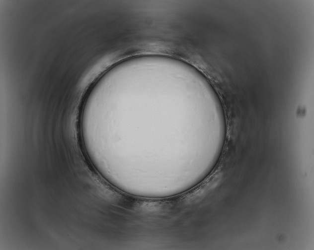 X0000101390341200807280943
