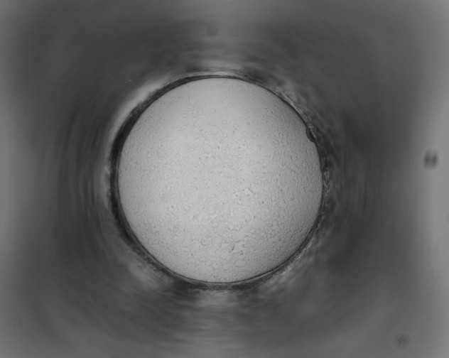 X0000101390342200807280943