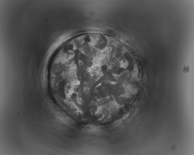 X0000101390343200807280943