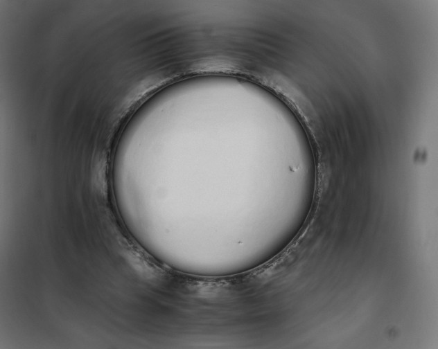 X0000101390345200807280943