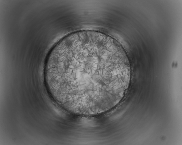 X0000101390346200807280943