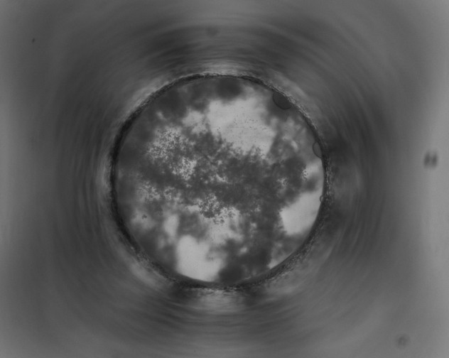 X0000101390347200807280943