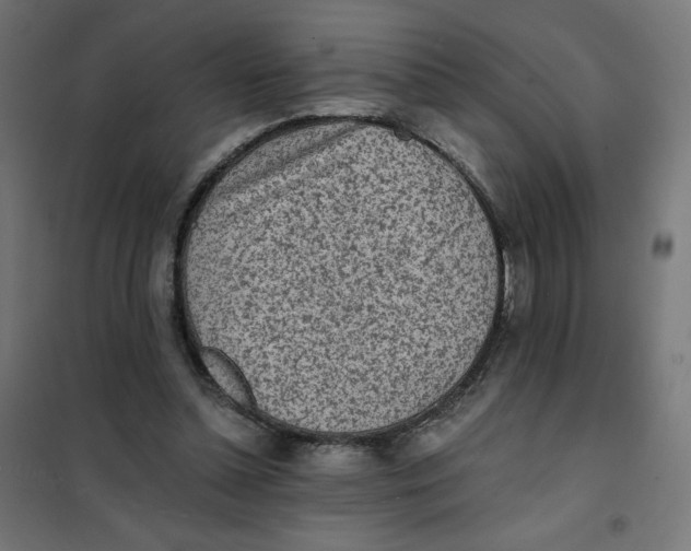 X0000101390348200807280943