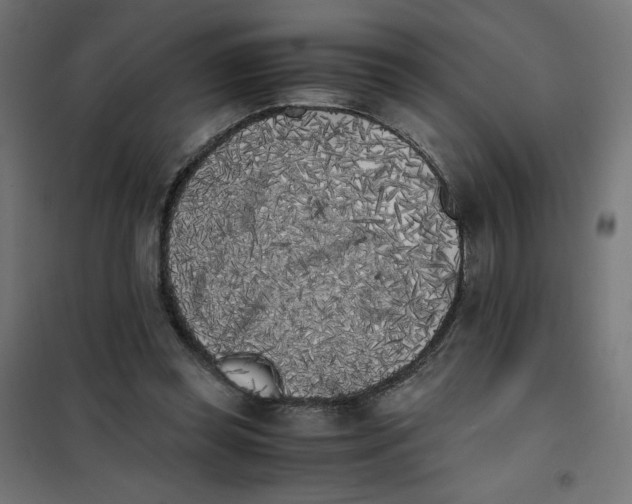 X0000101390349200807280943