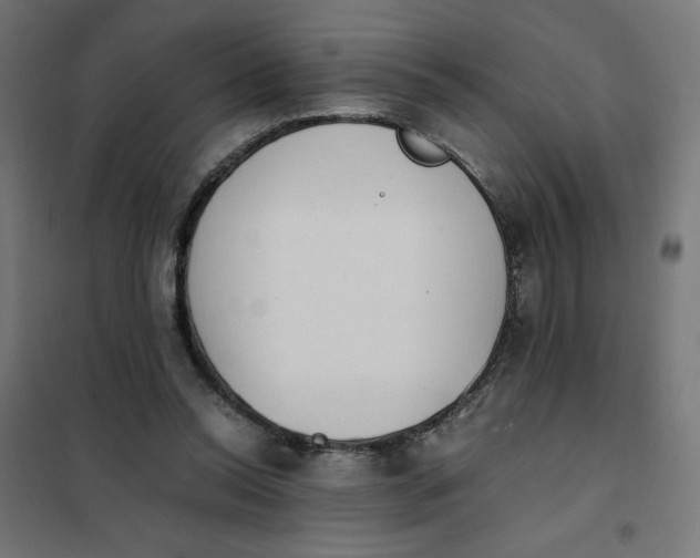 X0000101390350200807280943