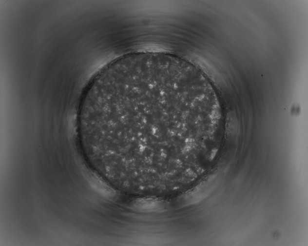 X0000101390351200807280943