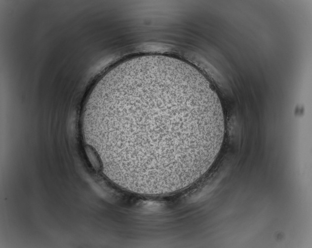 X0000101390352200807280943