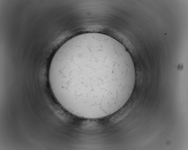 X0000101390354200807280943