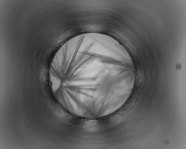 X0000101390355200807280943