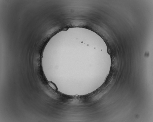 X0000101390356200807280943