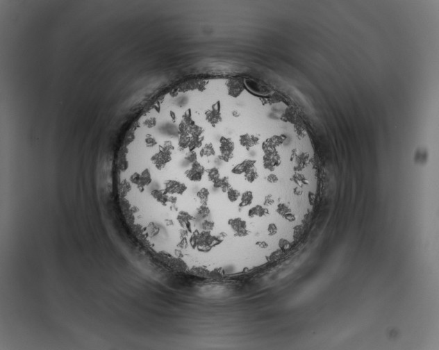 X0000101390358200807280943