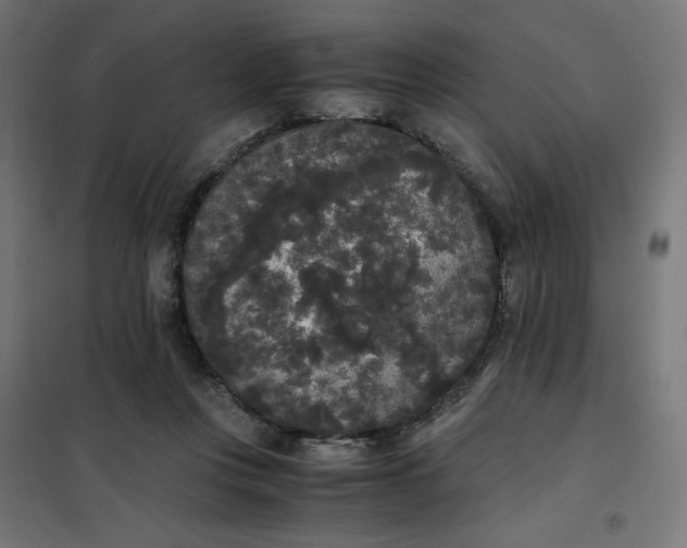X0000101390359200807280943