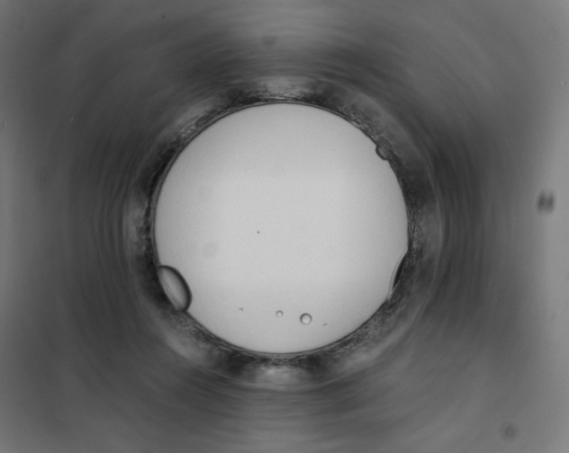 X0000101390360200807280943