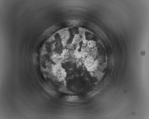 X0000101390361200807280943