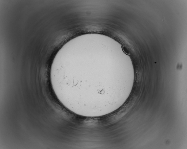 X0000101390362200807280943