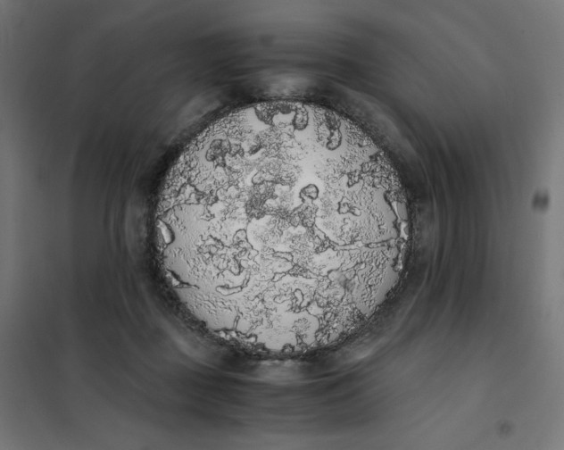 X0000101390363200807280943