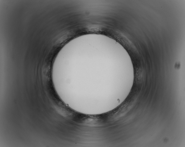 X0000101390364200807280943