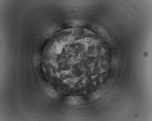 X0000101390367200807280943