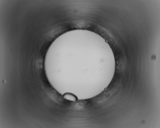 X0000101390368200807280943