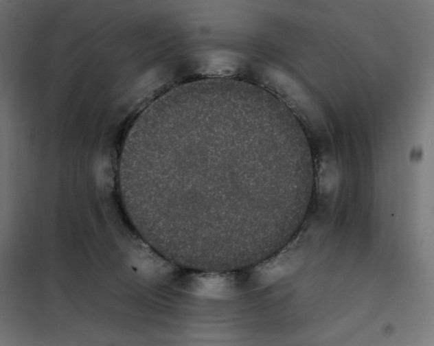 X0000101390370200807280943