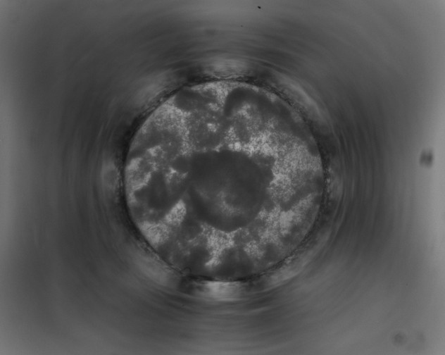 X0000101390371200807280943