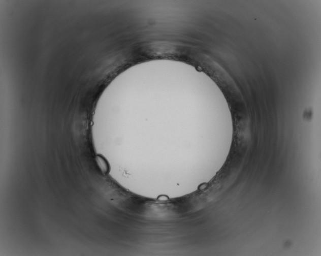 X0000101390372200807280943