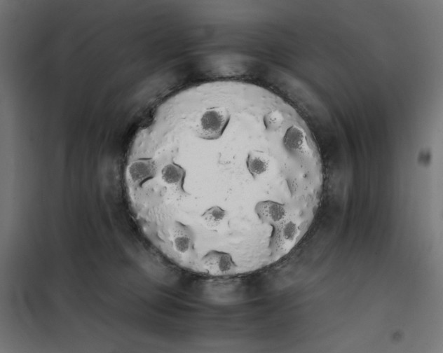 X0000101390373200807280943