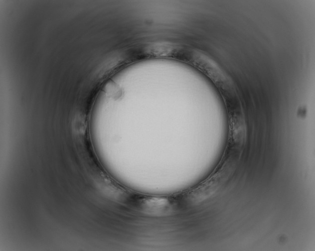 X0000101390374200807280943