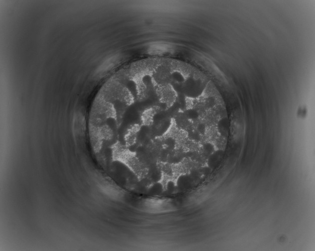 X0000101390375200807280943