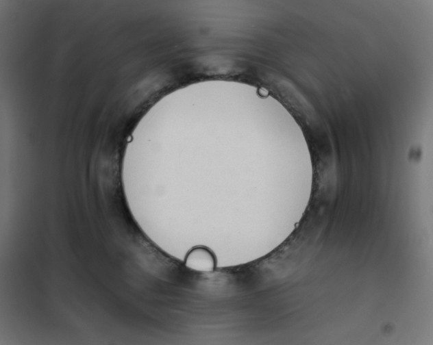X0000101390376200807280943