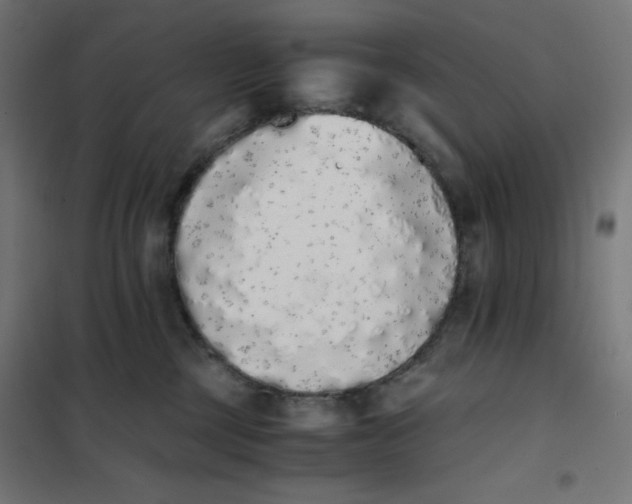 X0000101390377200807280943