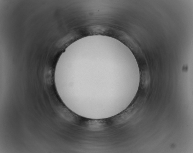X0000101390378200807280943