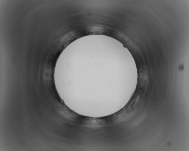 X0000101390379200807280943