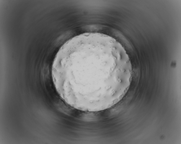 X0000101390381200807280943