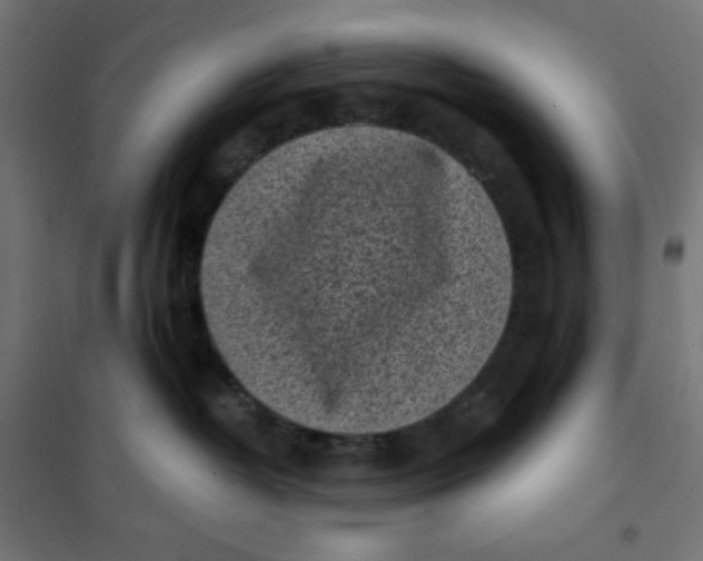 X0000101390382200807280943