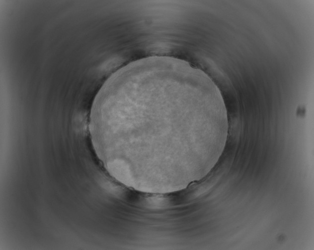X0000101390383200807280943
