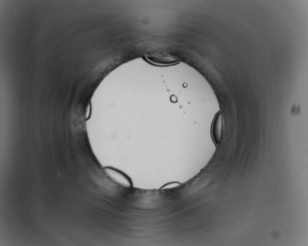 X0000101390384200807280943