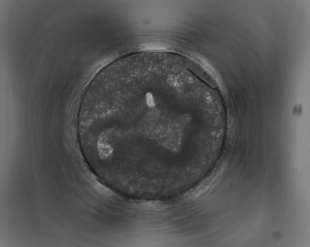 X0000101390385200807280943