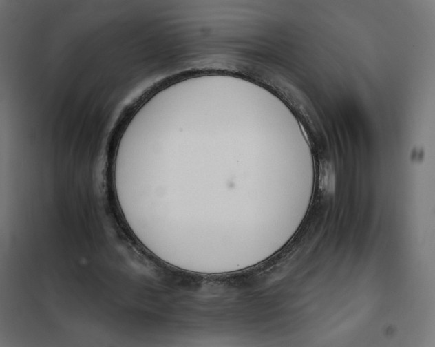 X0000101390388200807280943