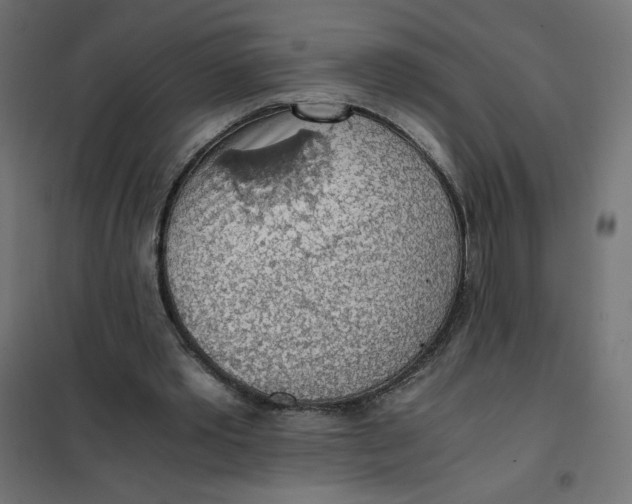 X0000101390389200807280943