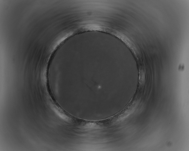 X0000101390390200807280943