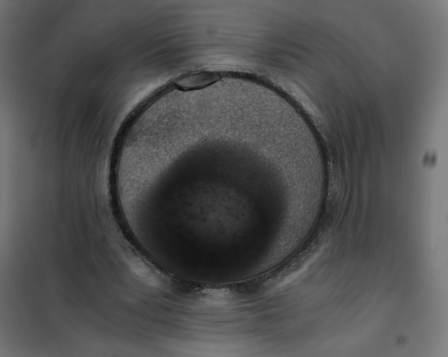 X0000101390391200807280943