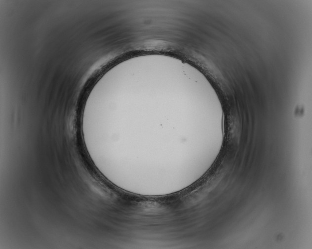 X0000101390392200807280943