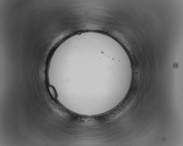 X0000101390395200807280942