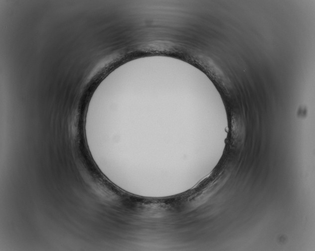 X0000101390396200807280942