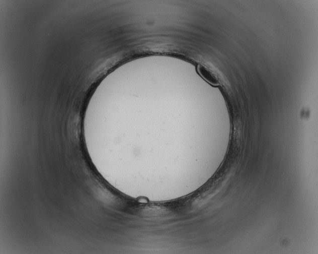 X0000101390397200807280942