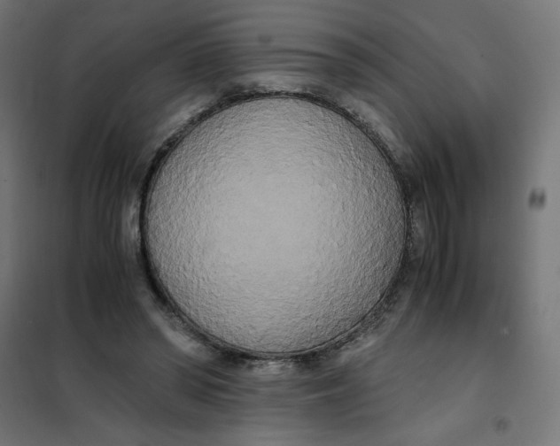 X0000101390398200807280942