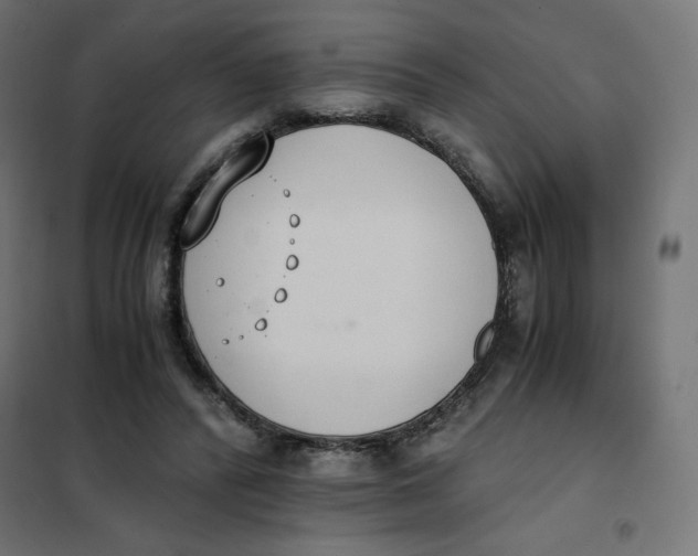 X0000101390400200807280942