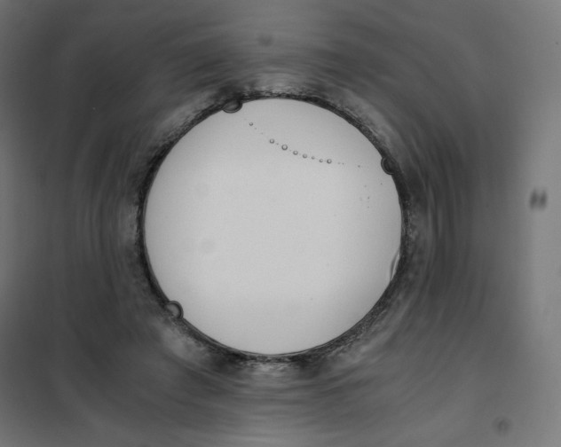X0000101390401200807280942